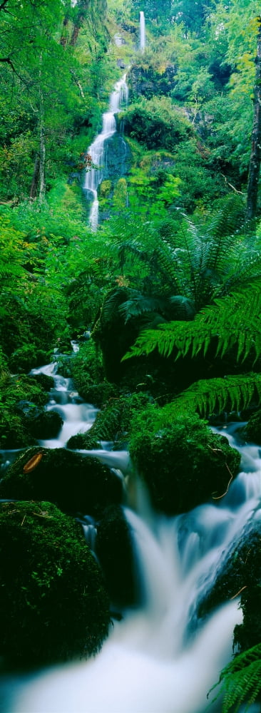 Waterfall in a forest Dartmoor Devon England Canvas Art - Panoramic Images (27 x 9)
