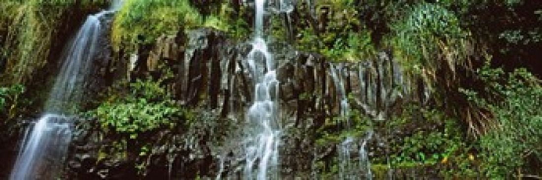 Waterfall in a forest Hawaii USA Canvas Art - Panoramic Images (18 x 6)
