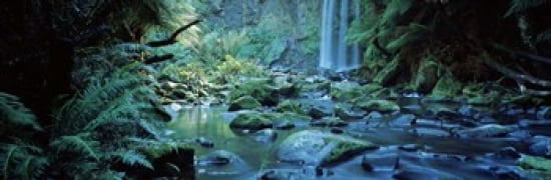 Waterfall in a forest Hopetown Falls Great Ocean Road Otway Ranges National Park Victoria Australia Canvas Art - Panoramic Images (18 x 6)