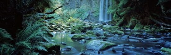 Waterfall in a forest Hopetown Falls Great Ocean Road Otway Ranges National Park Victoria Australia Canvas Art - Panoramic Images (36 x 12)