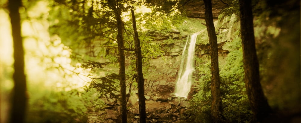 Waterfall in a forest Kaaterskill Falls Catskill Mountains Hunter Greene County New York State USA Canvas Art - Panoramic Images (36 x 12)