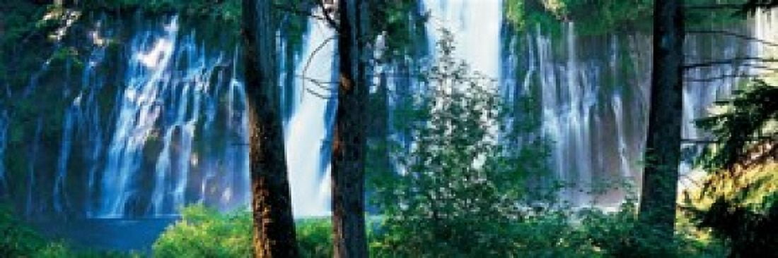 Waterfall in a forest McArthur-Burney Falls Memorial State Park California USA Canvas Art - Panoramic Images (18 x 6)
