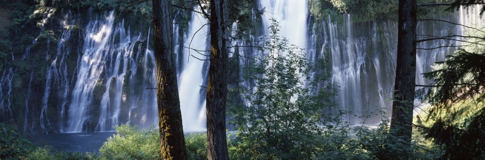 Waterfall in a forest McArthur-Burney Falls Memorial State Park California USA Canvas Art - Panoramic Images (36 x 12)