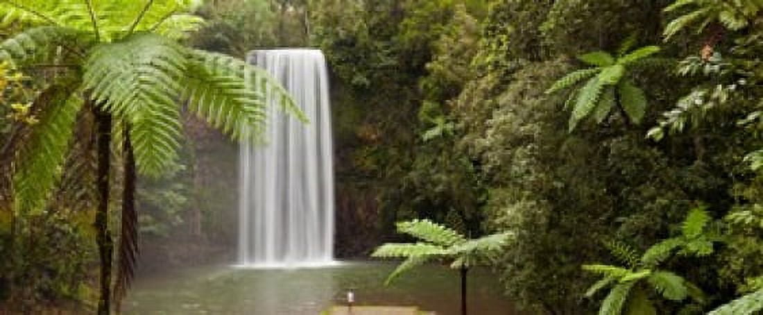 Waterfall in a forest Millaa Millaa Falls Atherton Tableland Queensland Australia Canvas Art - Panoramic Images (30 x 13)