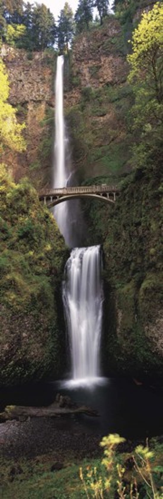 Waterfall in a forest Multnomah Falls Columbia River Gorge Multnomah County Oregon USA Canvas Art - Panoramic Images (36 x 12)
