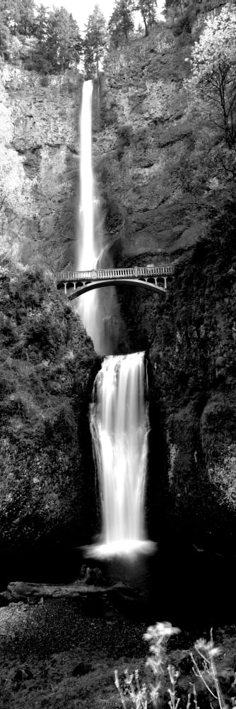 Waterfall in a forest Multnomah Falls Columbia River Gorge Oregon USA Canvas Art - Panoramic Images (12 x 36)