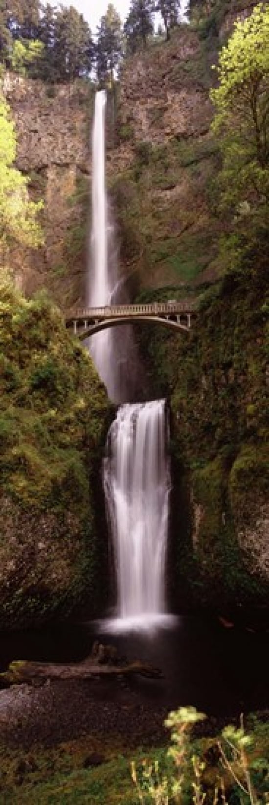 Waterfall in a forest Multnomah Falls Columbia River Gorge Oregon USA Canvas Art - Panoramic Images (18 x 6)