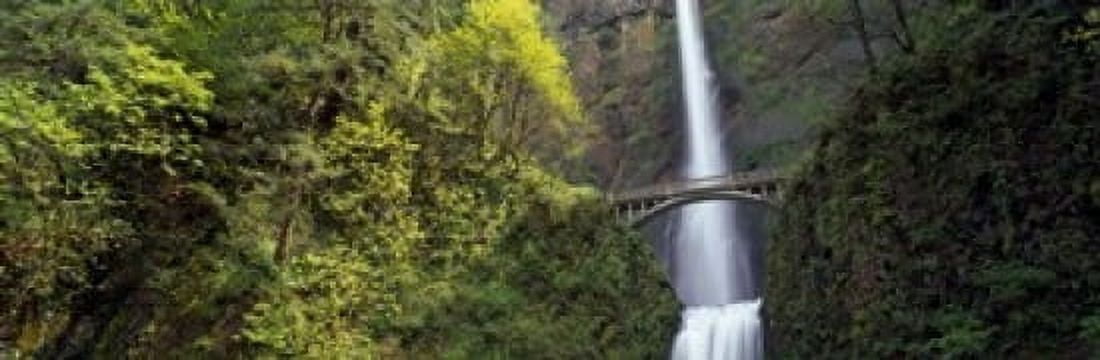 Waterfall in a forest Multnomah Falls Columbia River Gorge Portland Multnomah County Oregon USA Canvas Art - Panoramic Images (18 x 6)