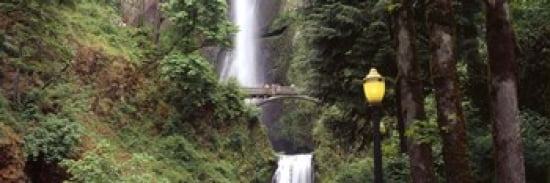 Waterfall in a forest Multnomah Falls Hood River Columbia River Gorge Multnomah County Oregon USA Canvas Art - Panoramic Images (36 x 12)
