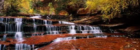 Waterfall in a forest North Creek Zion National Park Utah USA Canvas Art - Panoramic Images (30 x 12)