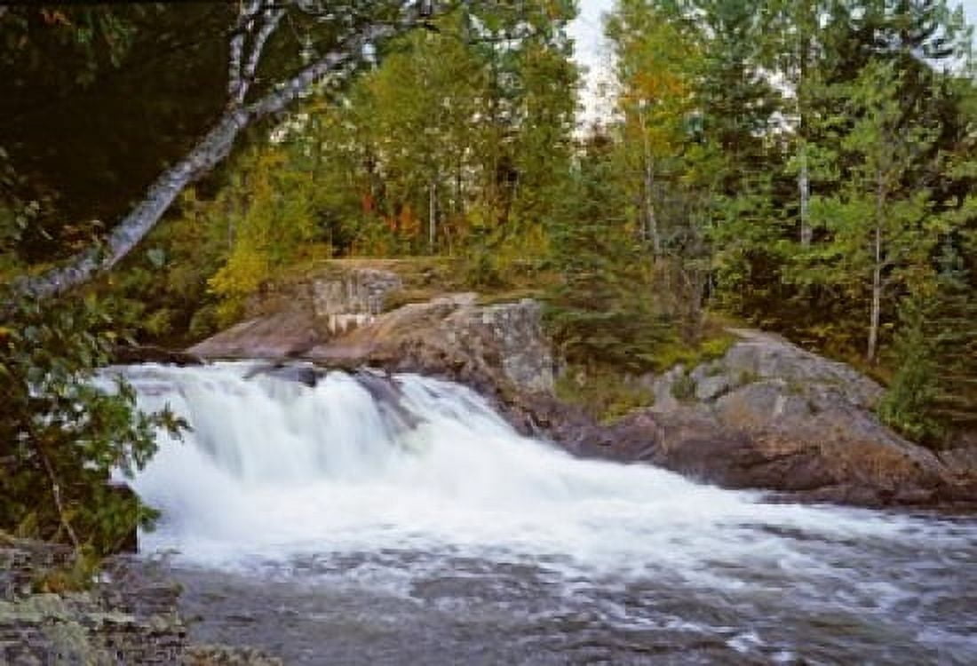 Waterfall in a forest Oxtongue River Algonquin Provincial Park Ontario Canada Canvas Art - Panoramic Images (36 x 25)