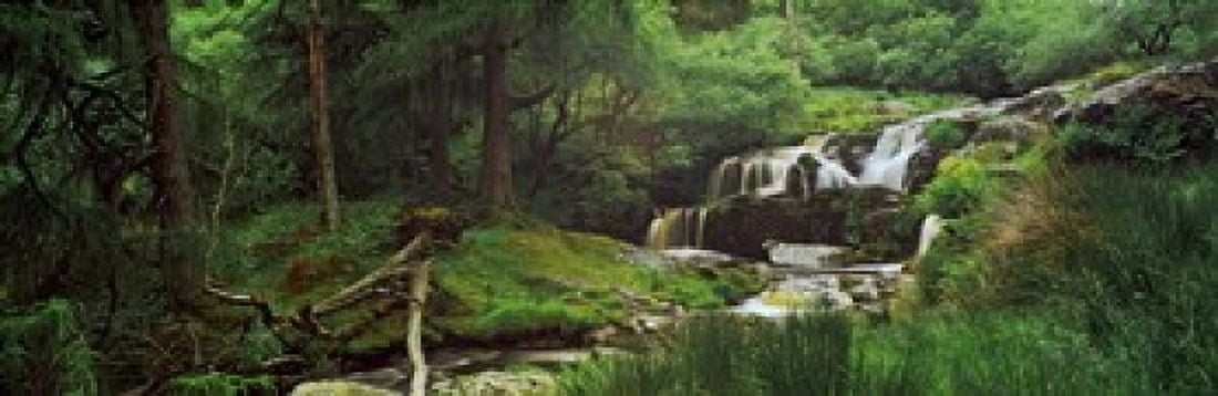 Waterfall in a forest Pistyll Rhaeadr Powys Wales Canvas Art - Panoramic Images (36 x 12)