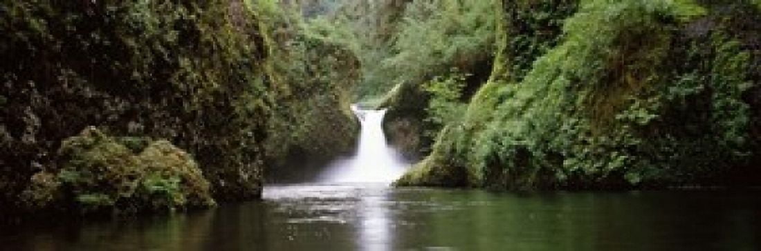 Waterfall in a forest Punch Bowl Falls Eagle Creek Hood River County Oregon USA Canvas Art - Panoramic Images (18 x 6)