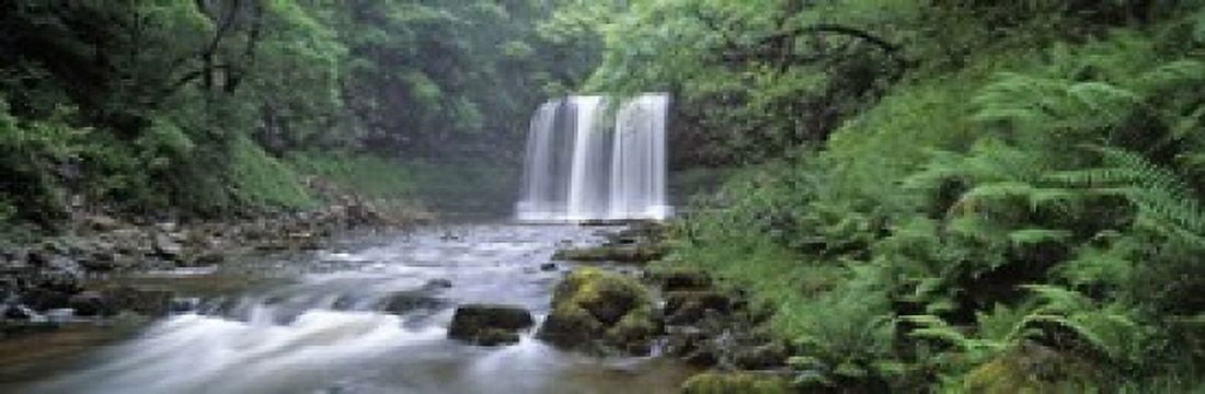 Waterfall in a forest Sgwd Yr Eira (Waterfall of Snow) Afon Hepste Brecon Beacons National Park Wales Canvas Art - Panoramic Images (18 x 6)