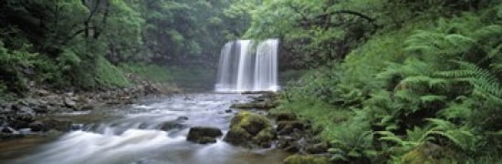 Waterfall in a forest Sgwd Yr Eira (Waterfall of Snow) Afon Hepste Brecon Beacons National Park Wales Canvas Art - Panoramic Images (36 x 12)