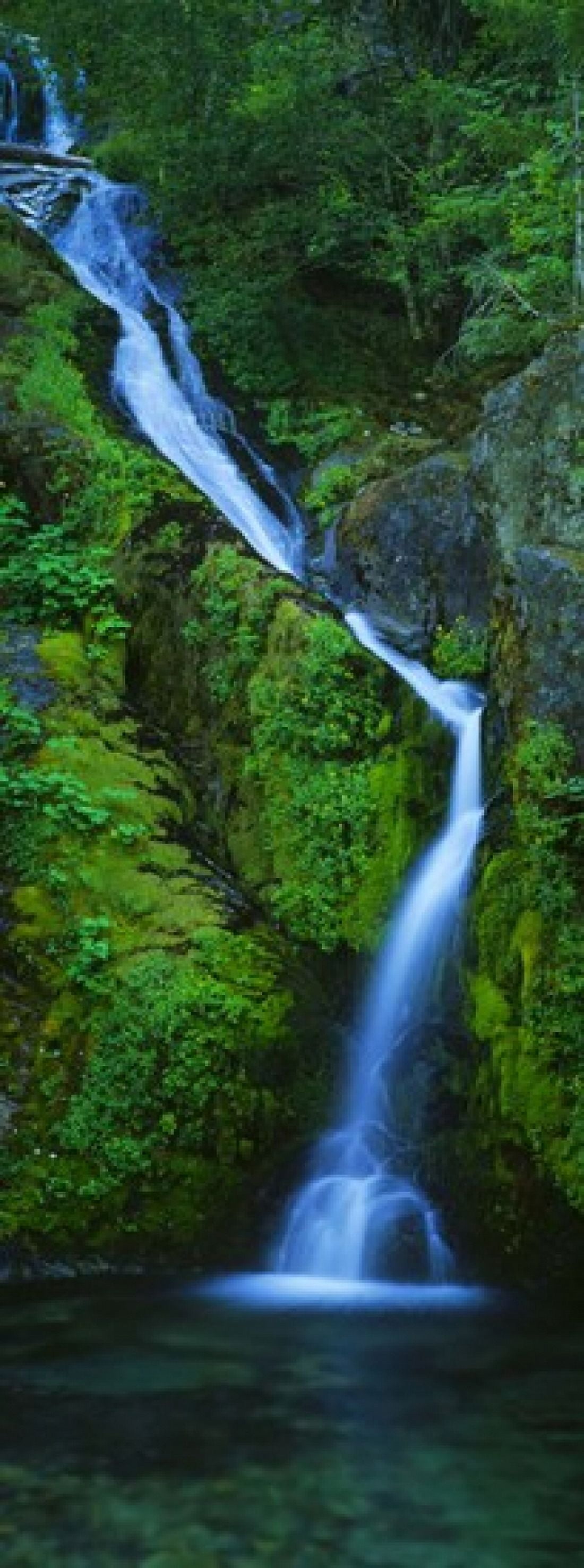 Waterfall in a forest Sullivan Falls Opal Creek Wilderness Oregon USA Canvas Art - Panoramic Images (15 x 6)