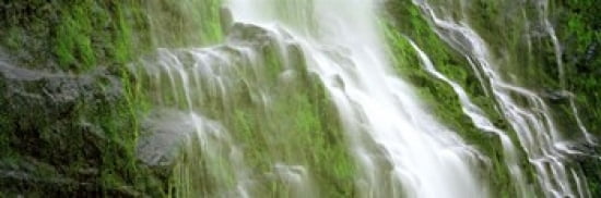 Waterfall in a forest USA Canvas Art - Panoramic Images (36 x 12)