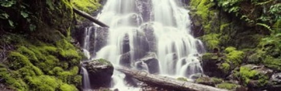 Waterfall in a forest Waheena Falls Hood River Oregon USA Canvas Art - Panoramic Images (36 x 12)