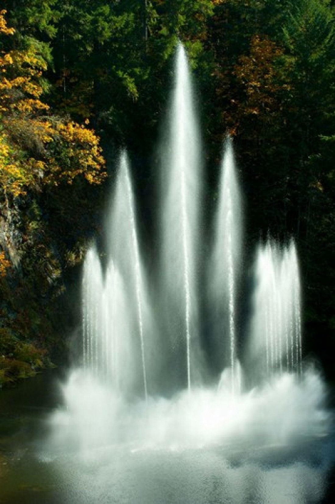 Waterfall in a garden Butchart Gardens Victoria Vancouver Island British Columbia Canada Canvas Art - Panoramic Images (24 x 36)