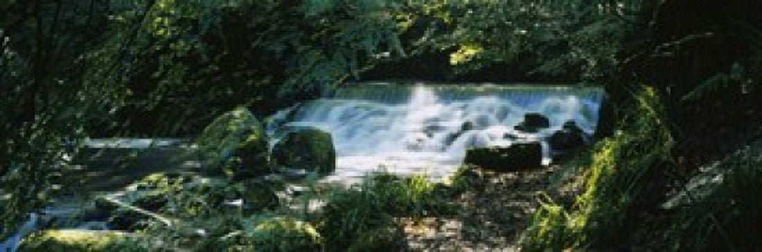 Waterfall in the forest Birks O Aberfeldy Perthshire Scotland Canvas Art - Panoramic Images (18 x 6)
