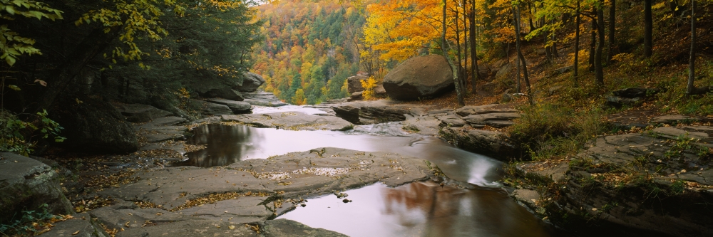 Waterfall in the forest Kaaterskill Falls Catskill Mountains New York State USA Canvas Art - Panoramic Images (27 x 9)