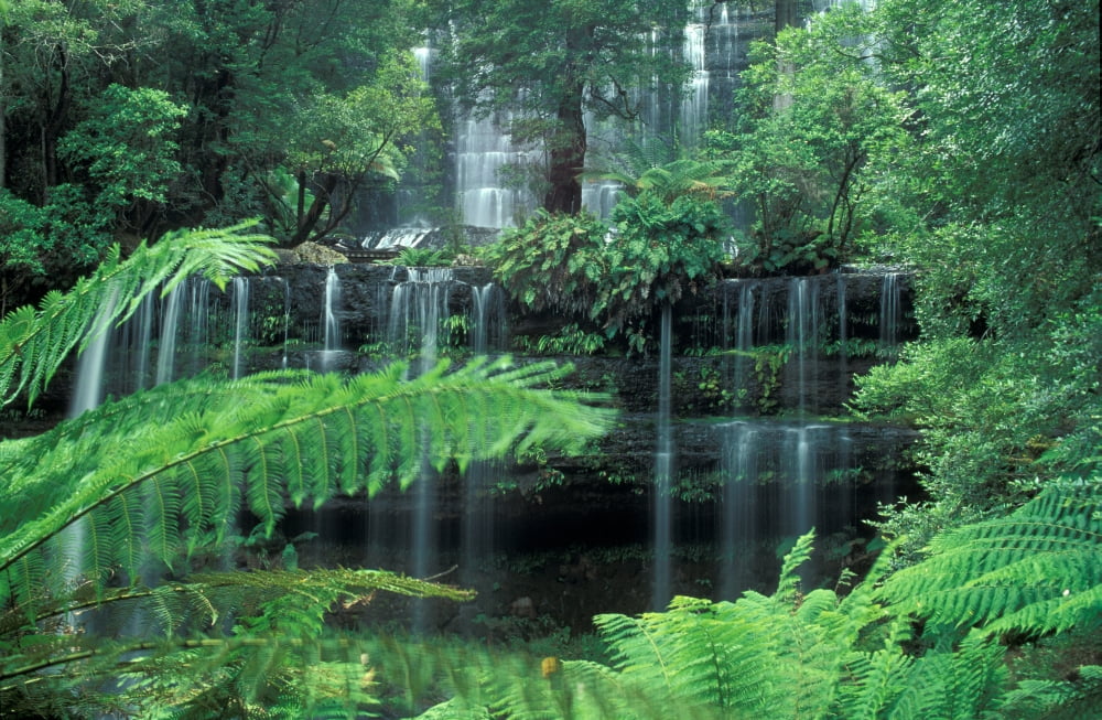 Waterfall of Streams Australia Canvas Art - Panoramic Images (24 x 36)