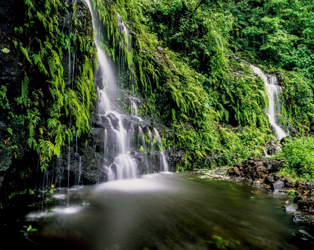 Waterfall on Southeast coast of Upolu Island Upolu Island Samoa Canvas Art - David Kirkland Design Pics (34 x 26)