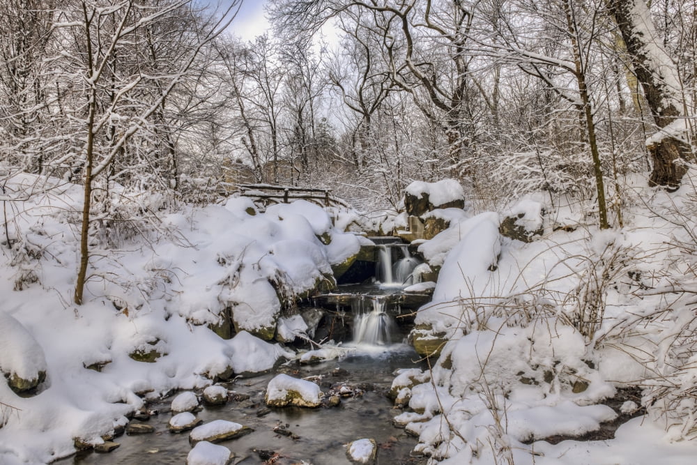 Waterfall under snow-covered rustic bridge Central Park New York City New York United States of America Canvas Art - F M Kearney Design Pics (19 x 12)