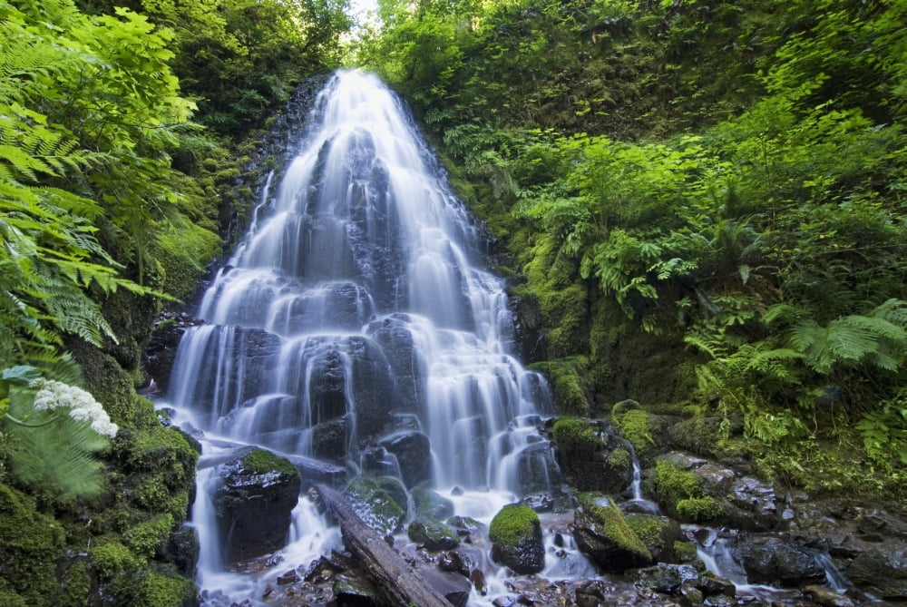 Waterfall with lush foliageOregon united states of america Canvas Art - Philippe Widling  Design Pics (36 x 24)