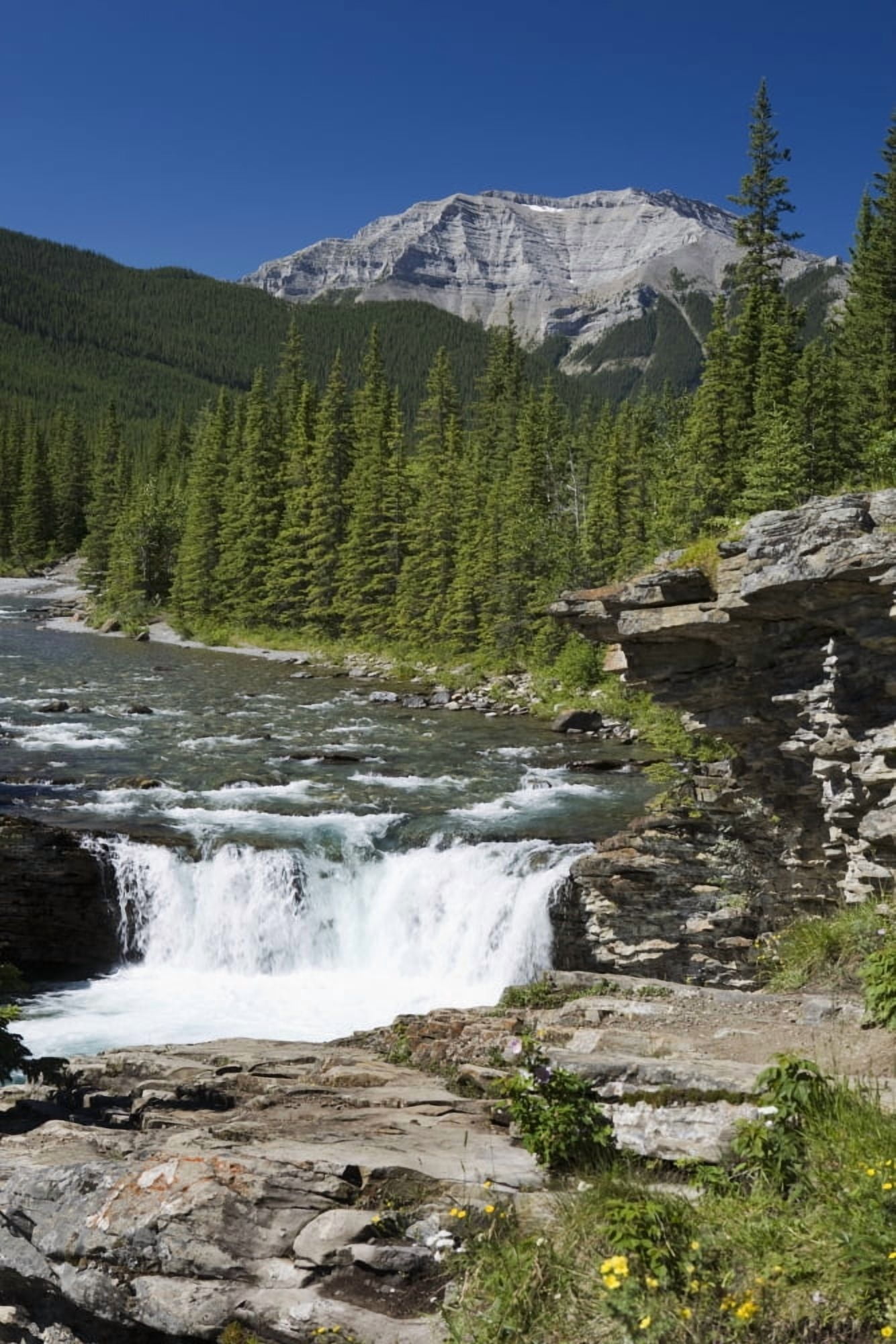 Waterfalls With Rock Ledge And Mountain In The Background Alberta Canada Canvas Art - Michael Interisano Design Pics (13 x 20)