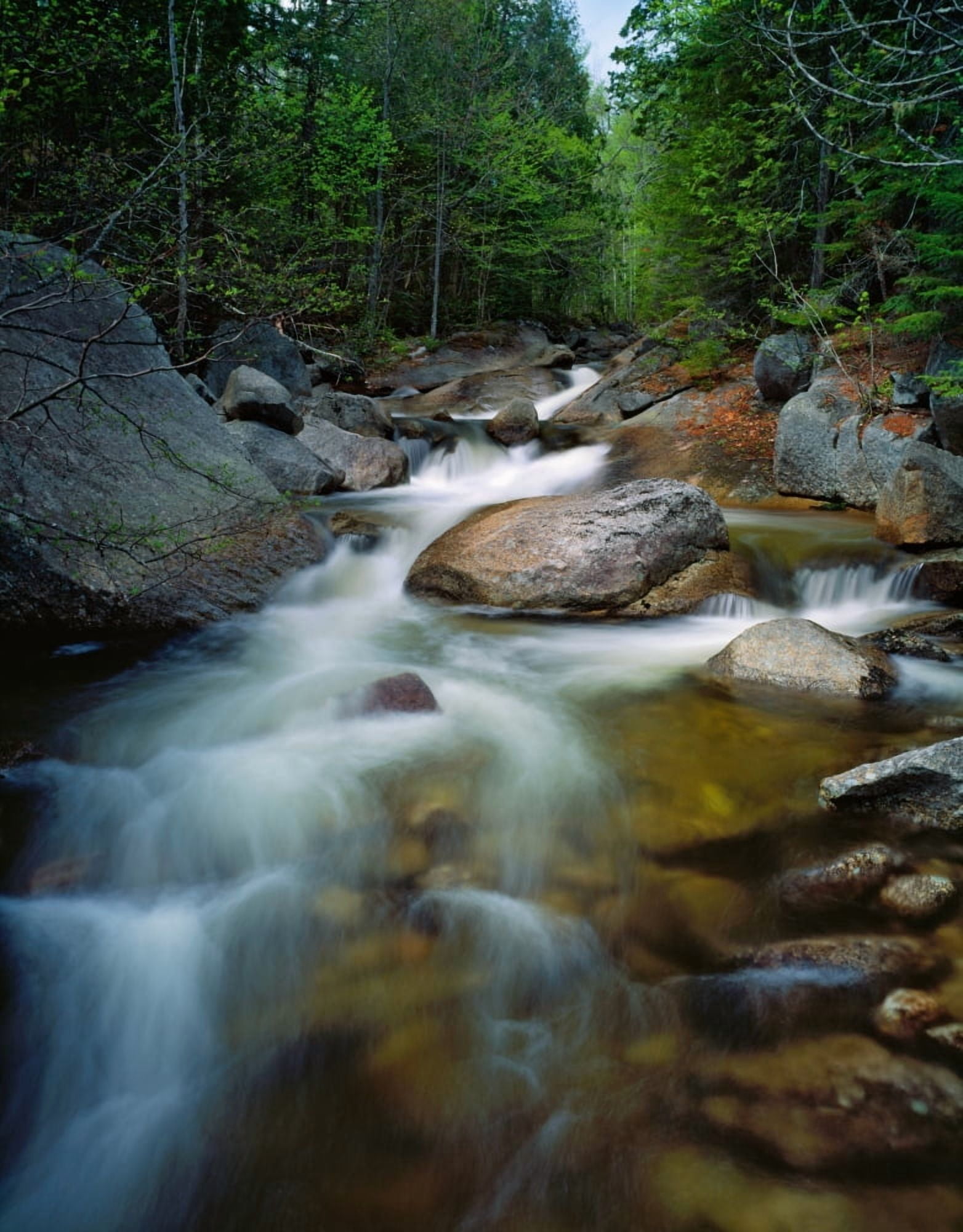 Waterfalls and rocks on Abol Stream Baxter State Park Maine USA Canvas Art - Panoramic Images (12 x 36)