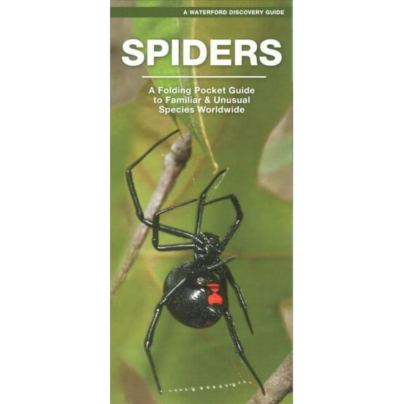 Waterford Discovery Guide: Spiders : A Folding Pocket Guide to Familiar Species Worldwide (Other)