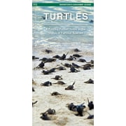 Waterford Discovery Guide: Turtles : A Folding Pocket Guide to Familiar & Unique Species Worldwide (Paperback)