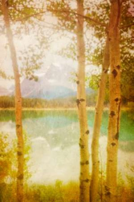 Waterfowl Lake Canvas Art - Roberta Murray (20 x 28)