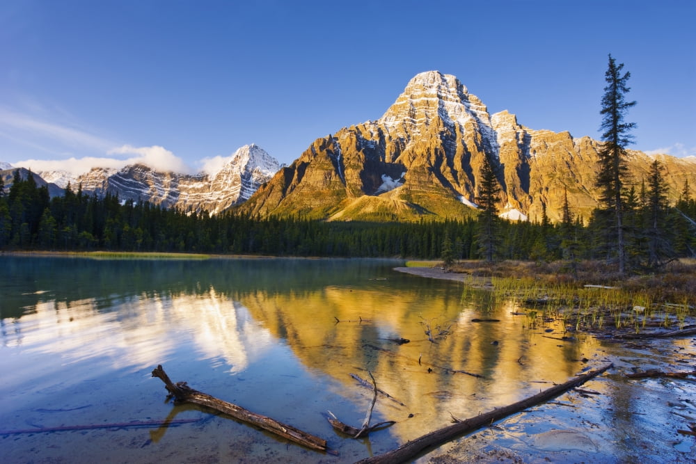 Waterfowl Lakes And Mount Chephren At Sunrise Banff National Park Alberta Canvas Art - Yves Marcoux Design Pics (17 x 11)