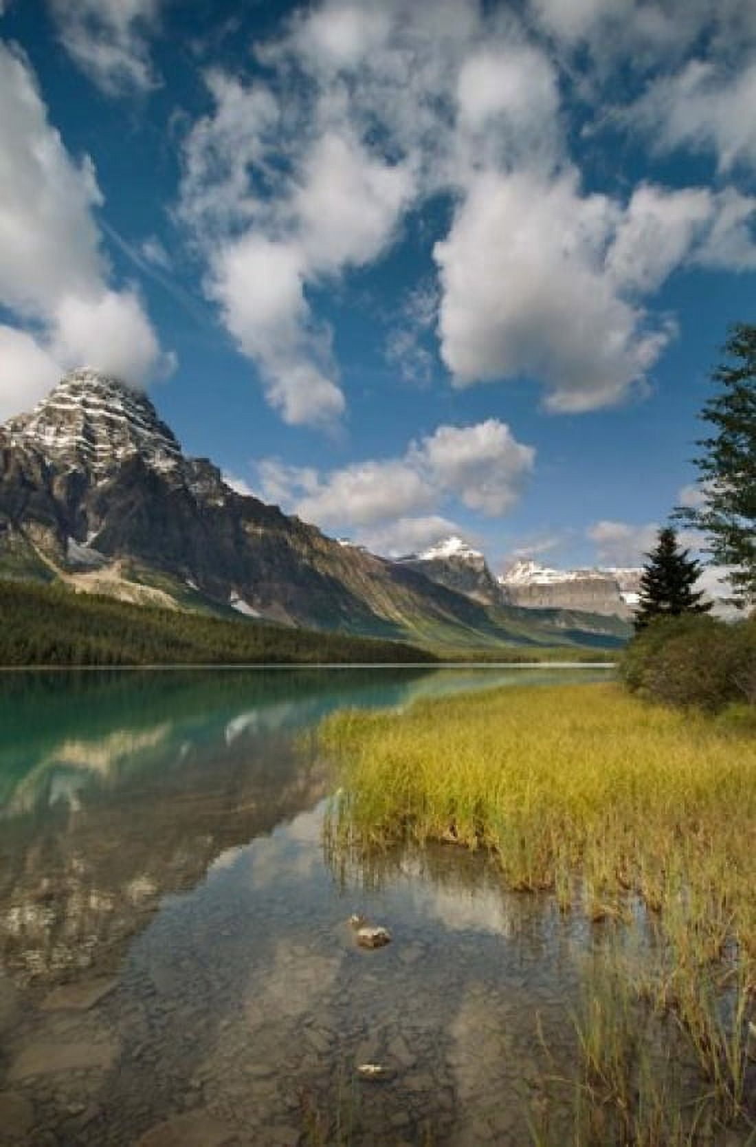 Waterfowl lake Icefields parkway Banff NP Canada Canvas Art - Raymond Klass DanitaDelimont (19 x 28)