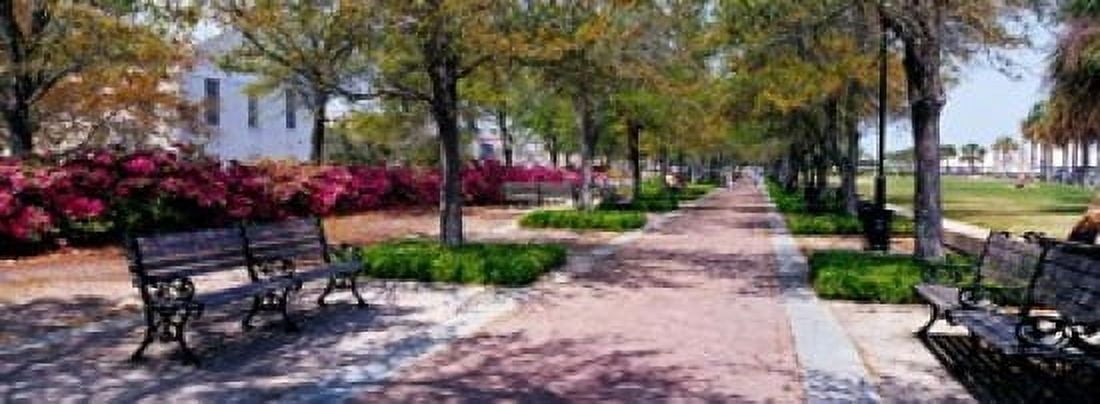 Waterfront Park in Charleston SC Canvas Art - Panoramic Images (33 x 12)