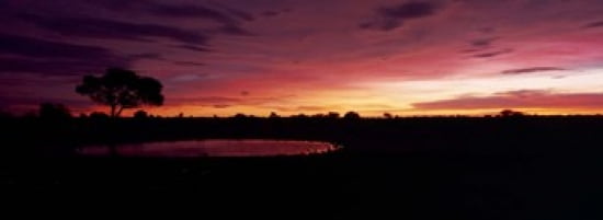 Waterhole in a forest Okaukuejo Etosha National Park Kunene Region Namibia Canvas Art - Panoramic Images (36 x 13)