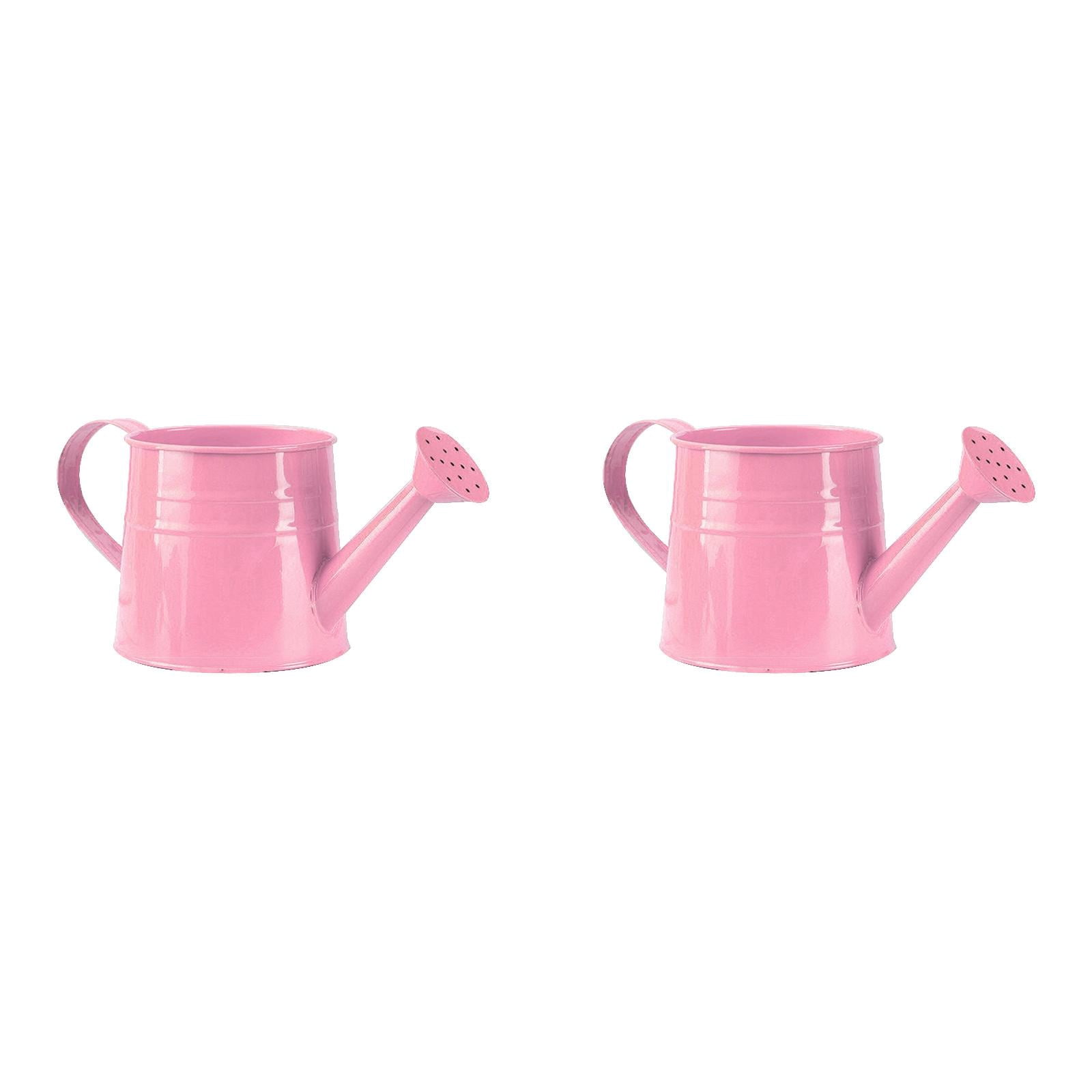 Watering Can 1L, Metal Garden Watering Can for - Sprinkling Can Gardening Tool Accessories for Outdoor Indoor Plants, Lawn, Garden & Flowers