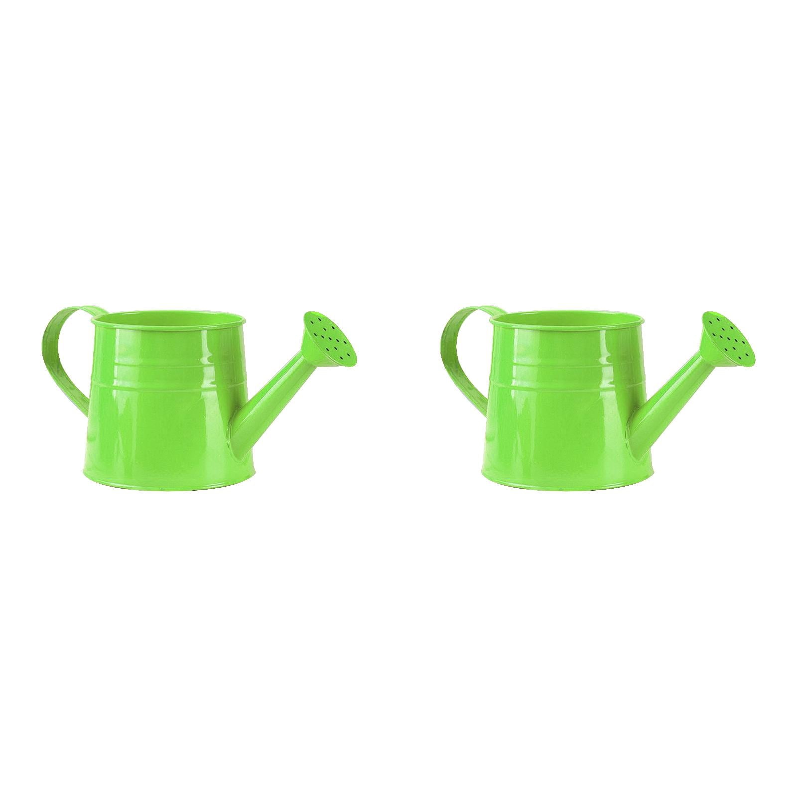 Watering Can 1L, Metal Garden Watering Can for - Sprinkling Can Gardening Tool Accessories for Outdoor Indoor Plants, Lawn, Garden & Flowers