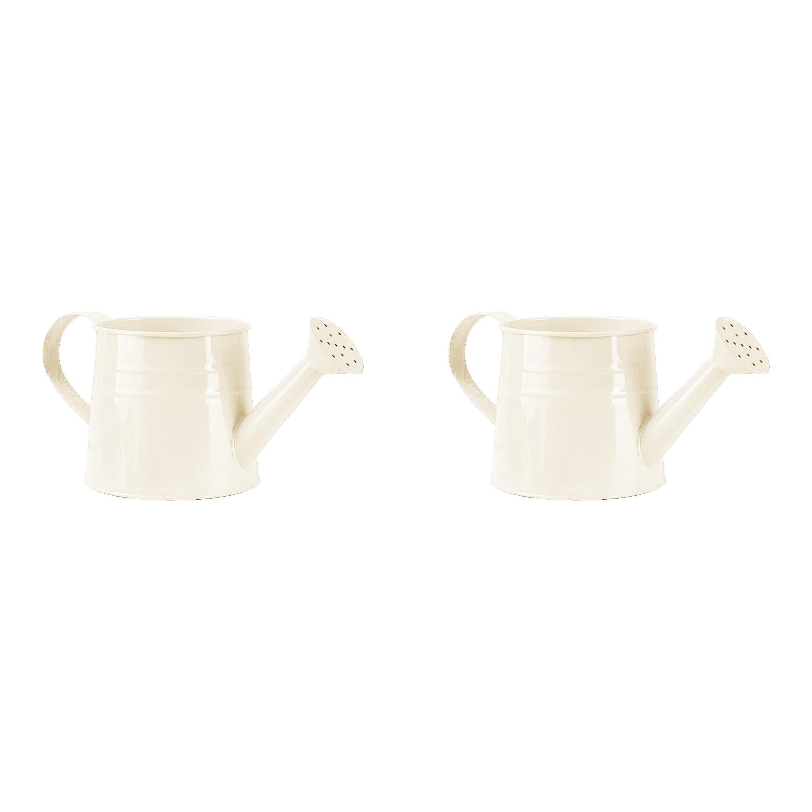 Watering Can 1L, Metal Garden Watering Can for - Sprinkling Can Gardening Tool Accessories for Outdoor Indoor Plants, Lawn, Garden & Flowers