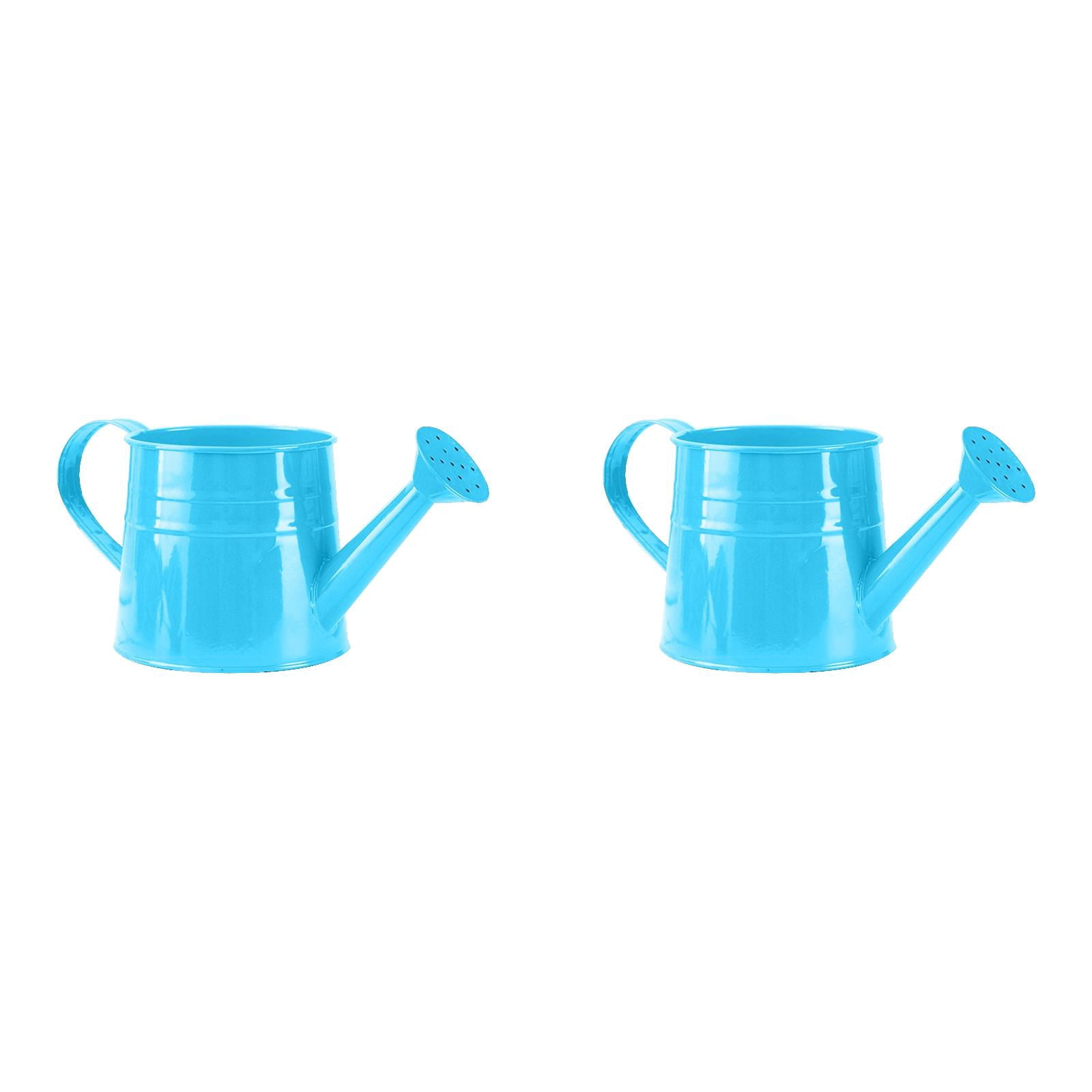 Watering Can 1L, Metal Garden Watering Can for - Sprinkling Can Gardening Tool Accessories for Outdoor Indoor Plants, Lawn, Garden & Flowers