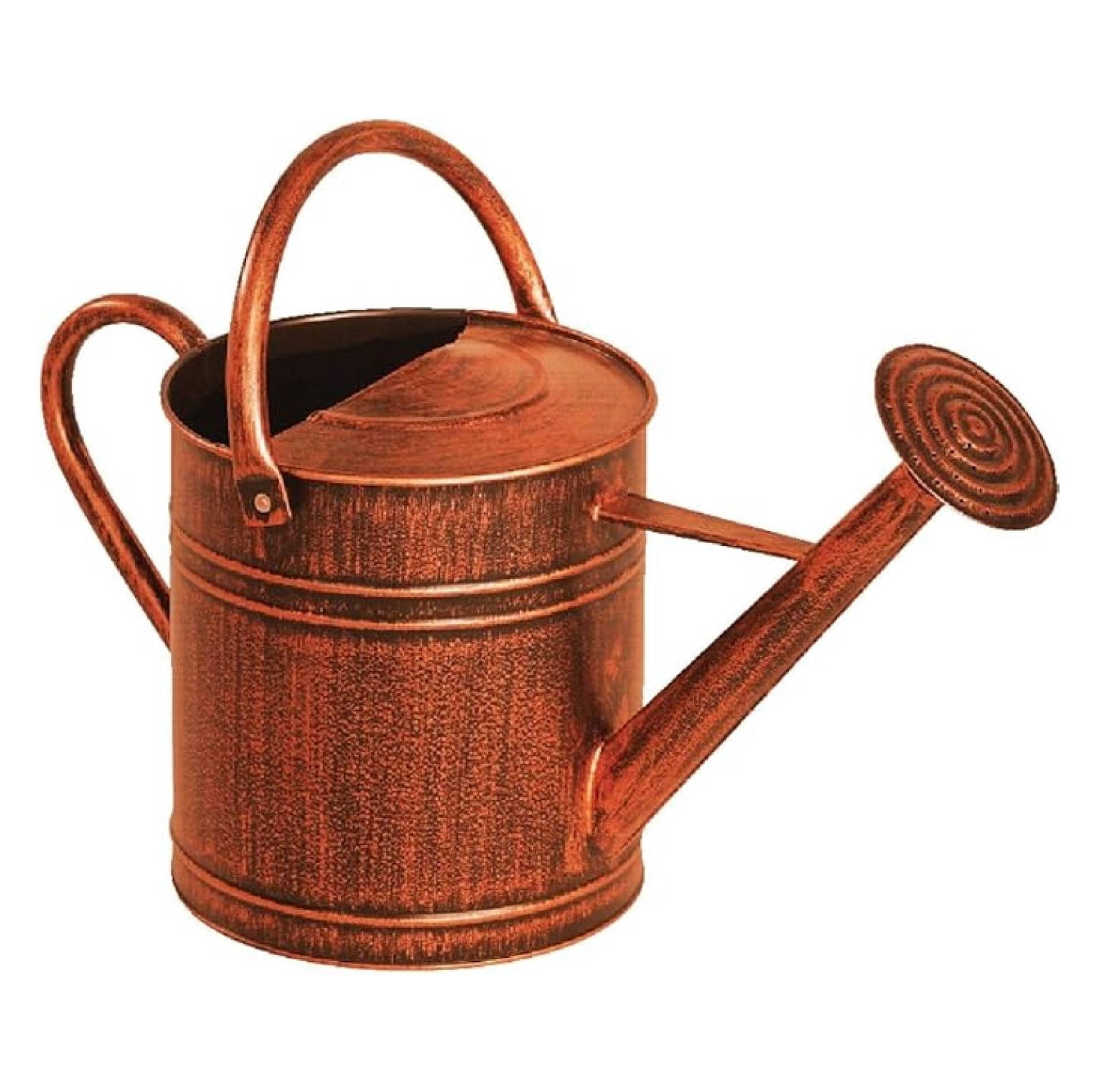 Watering Can 2 Gallon Brushed Bronze Plastic for Indoor Outdoor Garden Plant Flower Care Hydration Tool Brown