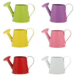 Bloem Bermuda Teal 1.06 L Resin Hummingbird Watering Can Bloem Bermuda Teal 1.06 L Resin Hummingbird Watering Can