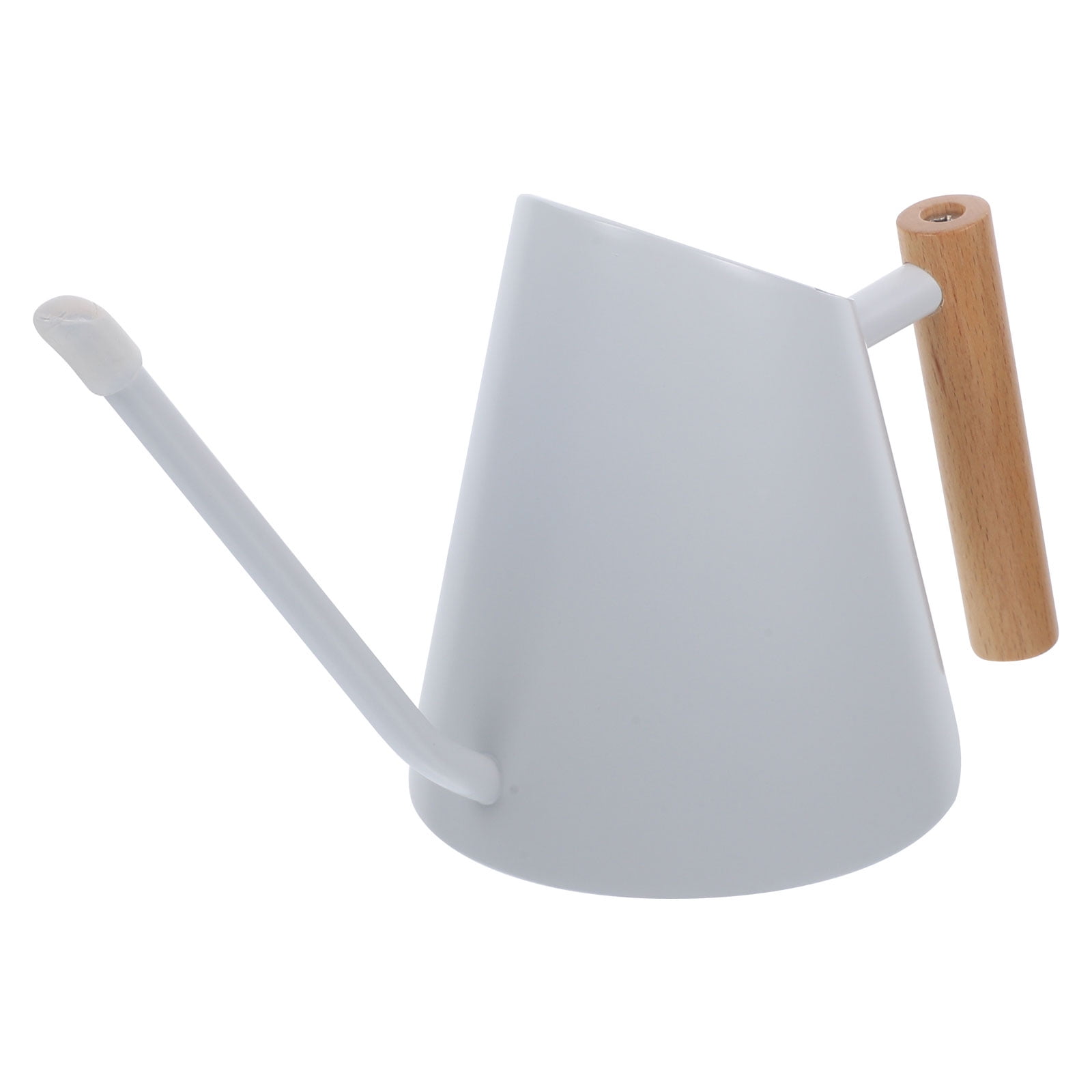 Watering Can Flowers Succulent Pot Stainless Steel Wood Indoor