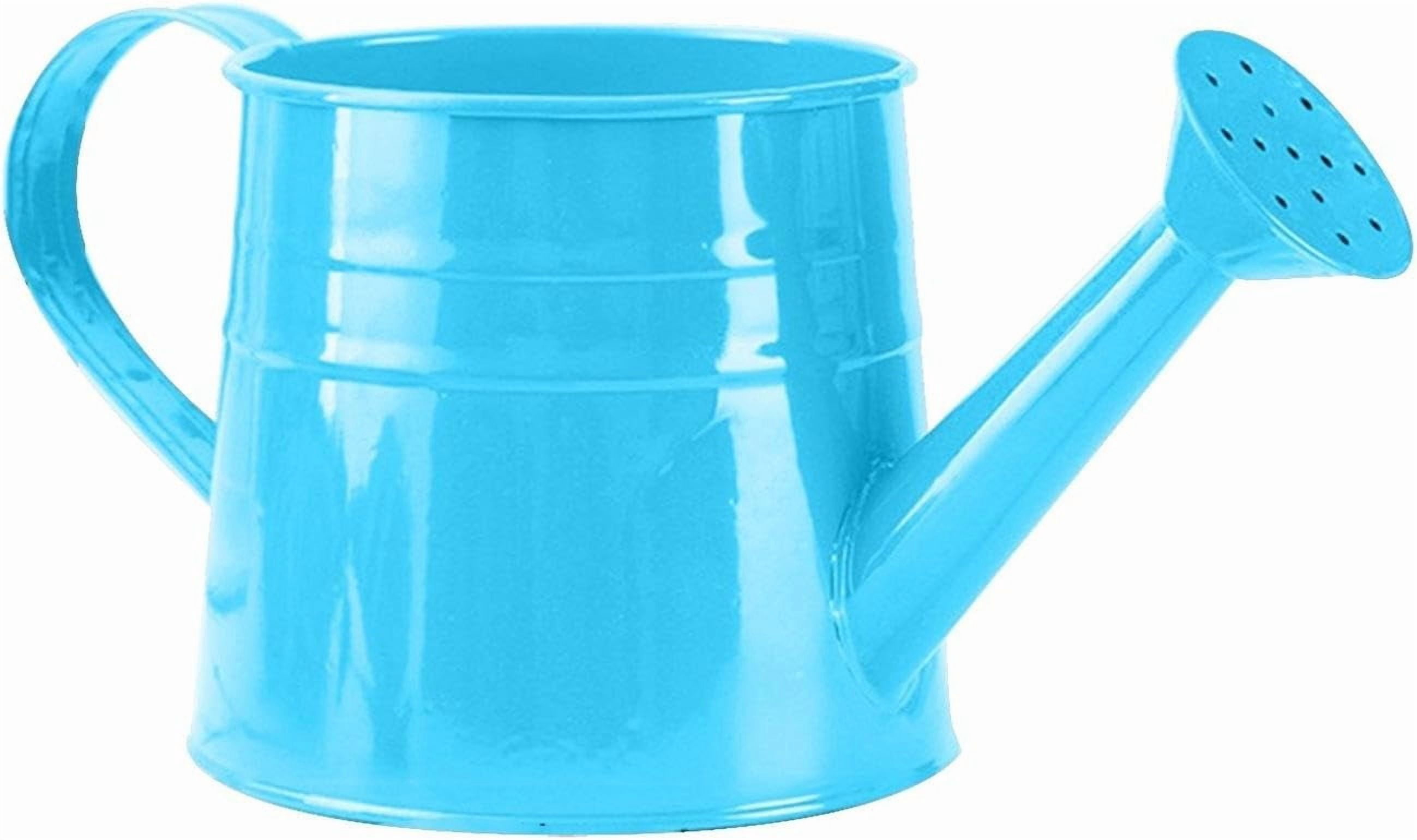 Watering Can Gardening Tool Accessories, Sprinkling Can 1L Metal Flower Garden Watering Can for Outdoor Indoor Plants Lawn Garden