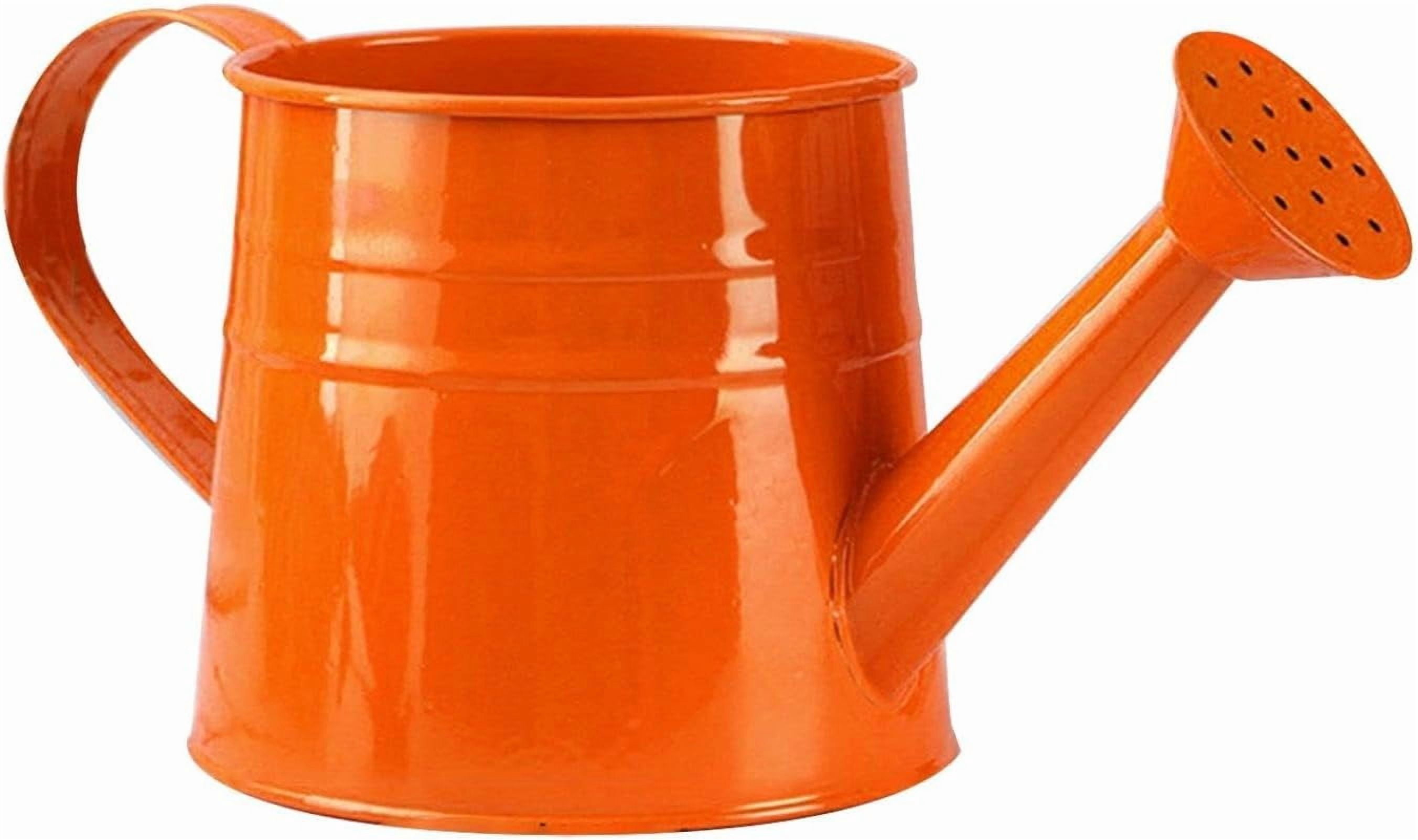 Watering Can Gardening Tool Accessories, Sprinkling Can 1L Metal Flower Garden Watering Can for Outdoor Indoor Plants Lawn Garden