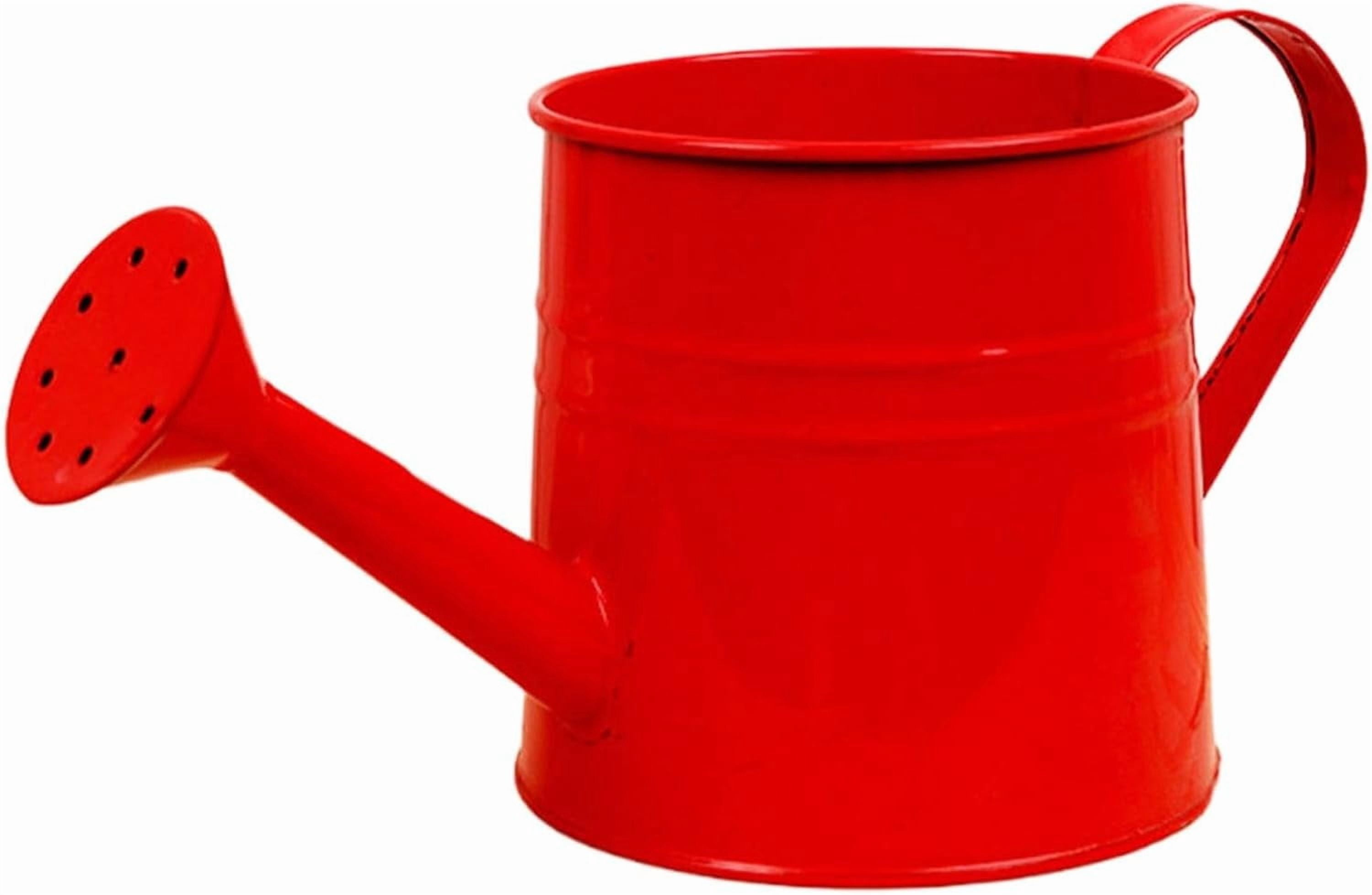 Watering Can Gardening Tool Accessories, Sprinkling Can 1L Metal Flower Garden Watering Can for Outdoor Indoor Plants Lawn Garden