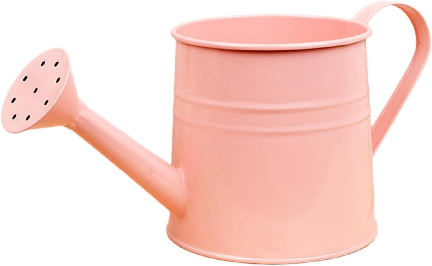 Watering Can Gardening Tool Accessories, Sprinkling Can 1L Metal Flower Garden Watering Can for Outdoor Indoor Plants Lawn Garden