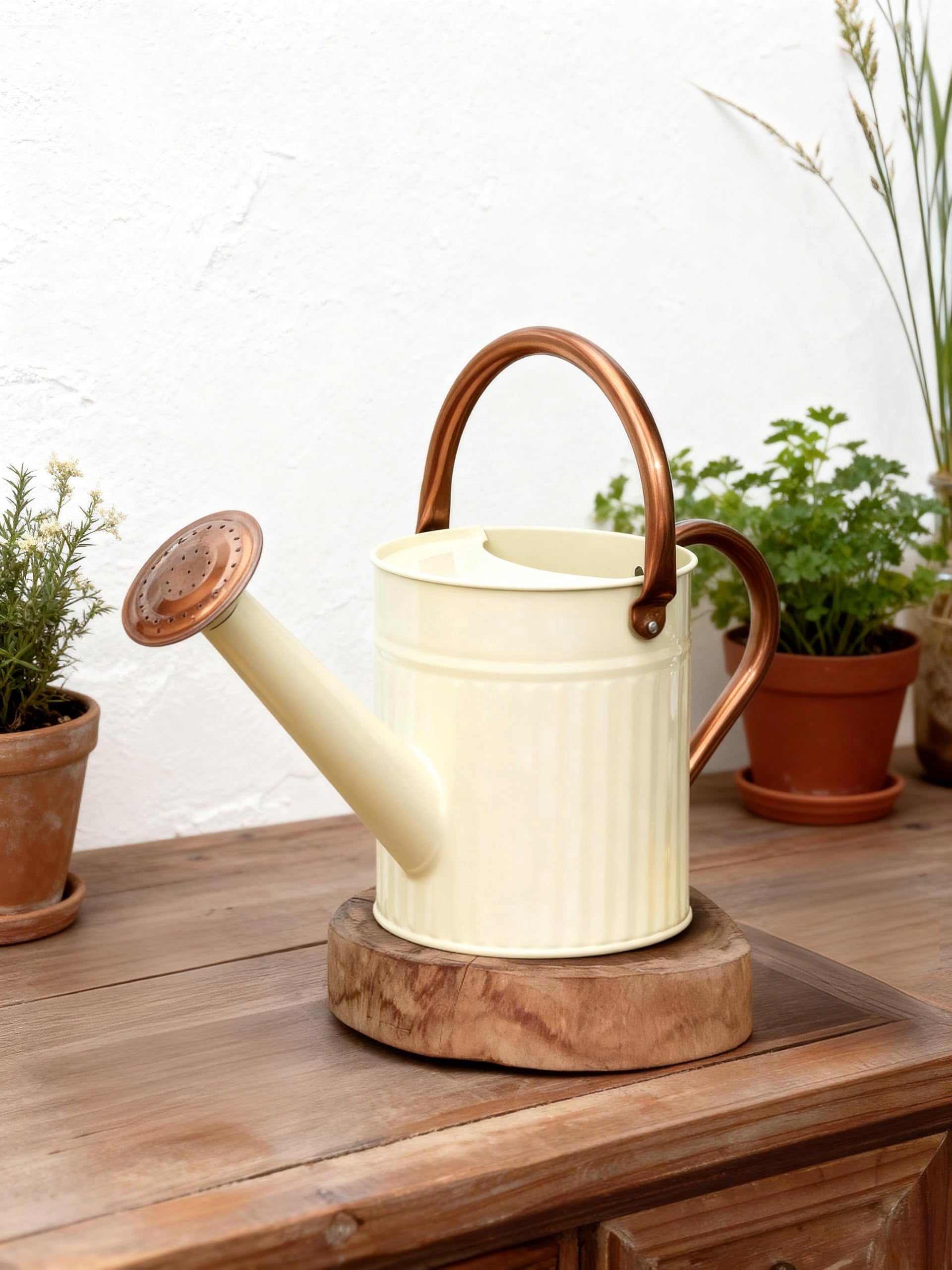 Watering Can for Indoor Outdoor Plant Metal Watering Can with Removable Spout Embossd Design Plant Watering Devices Stainless Steel 1/2 Gallon Watering Cans Perfect Home - CREAMY WHITE